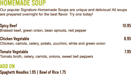 Homemade Soup